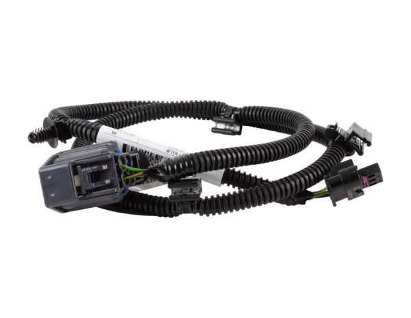 WIRE - Imagen 2