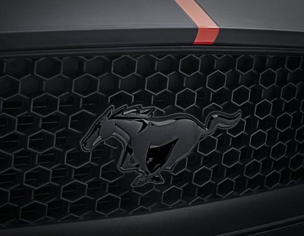 BLACK PONY GRILLE WITH FITTING  05/2017