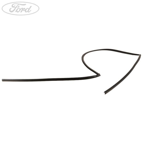 WINDSHIELD MOULDING