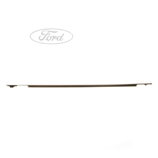 BODY SEALS - Imagen 2